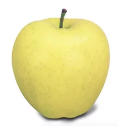 Colgate Golden Delicious Apple