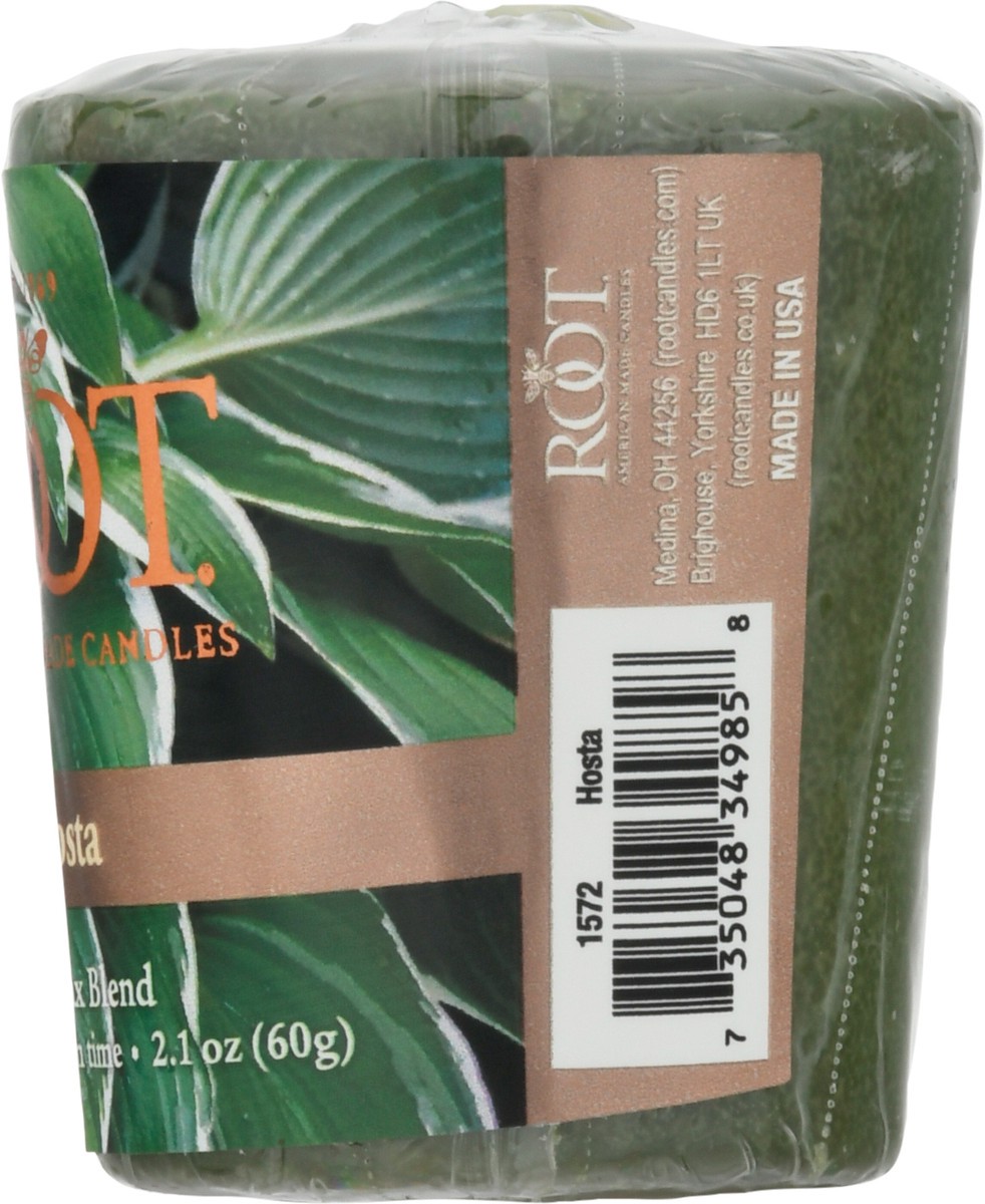 slide 8 of 11, Root Hosta Votive Candle 1 ea, 1 ct