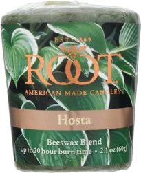 Root Hosta Votive Candle 1 ea