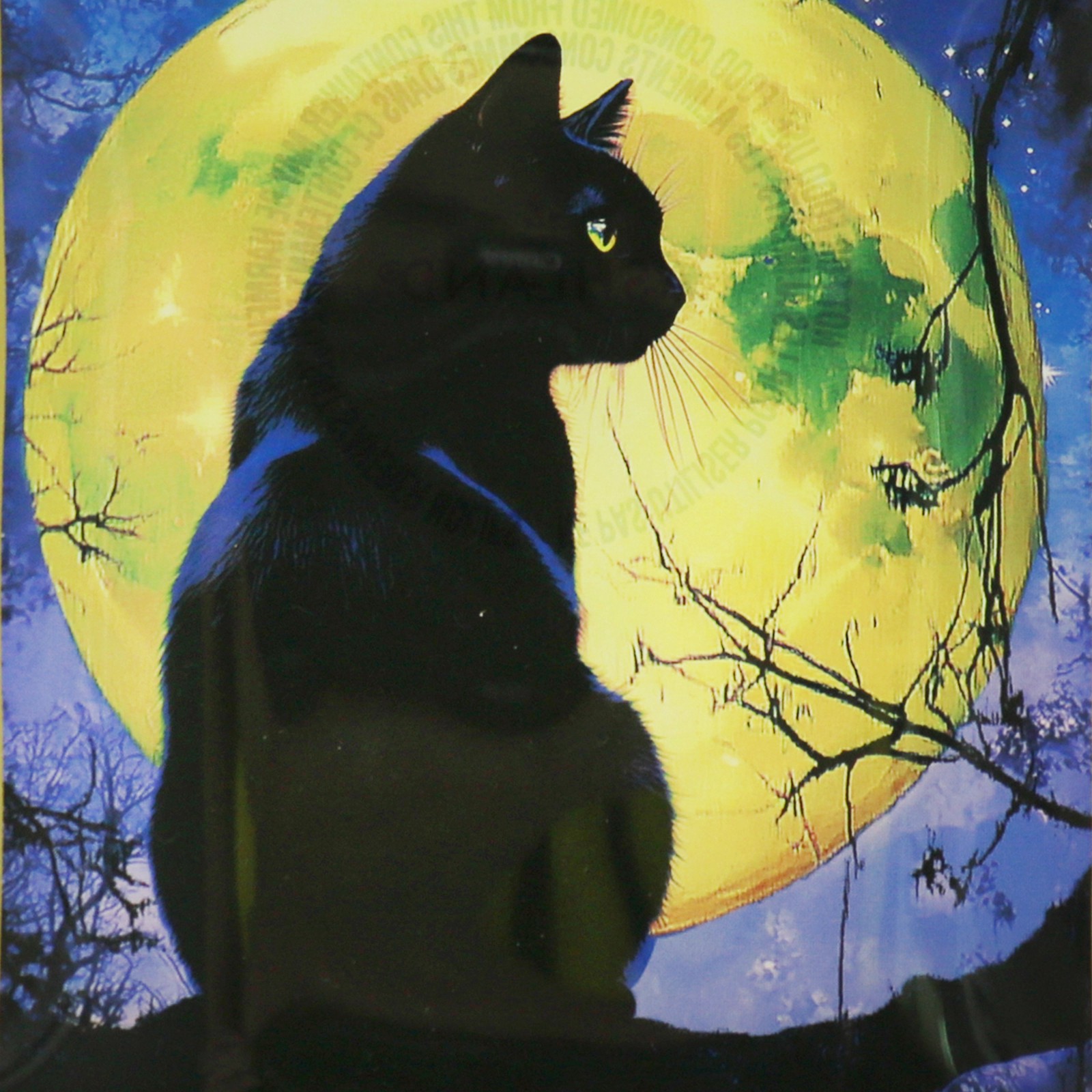 slide 3 of 3, 4" X 6" Black Cat Glass Plate By Ashland, 4 in x 6 in