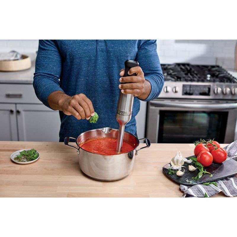 slide 5 of 9, Vitamix Immersion Blender 5-Speed Silver/Black, 1 ct