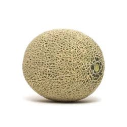 Fresh Cantaloupes
