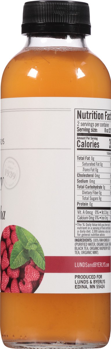 slide 4 of 9, Lunds & Byerlys Raspberry Mint Kombucha 16 fl oz, 16 fl oz