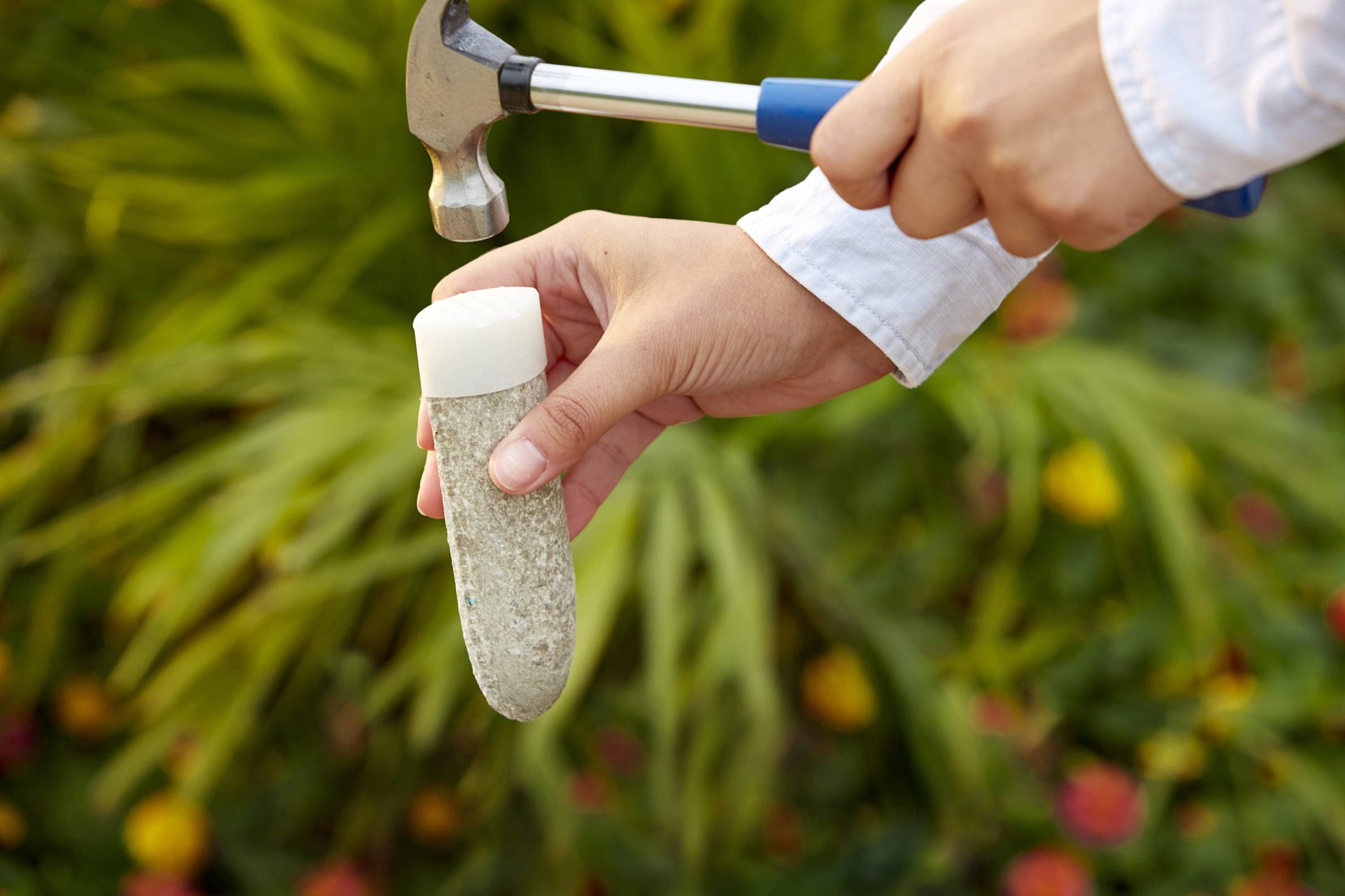 slide 2 of 6, Miracle-Gro Fruit & Citrus Plant Food Spikes, 12 ct