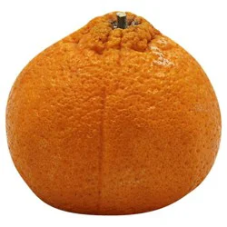 Tangerine Sumo