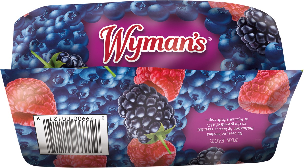 slide 5 of 7, Wyman's Triple Berry 3 lb, 3 lb