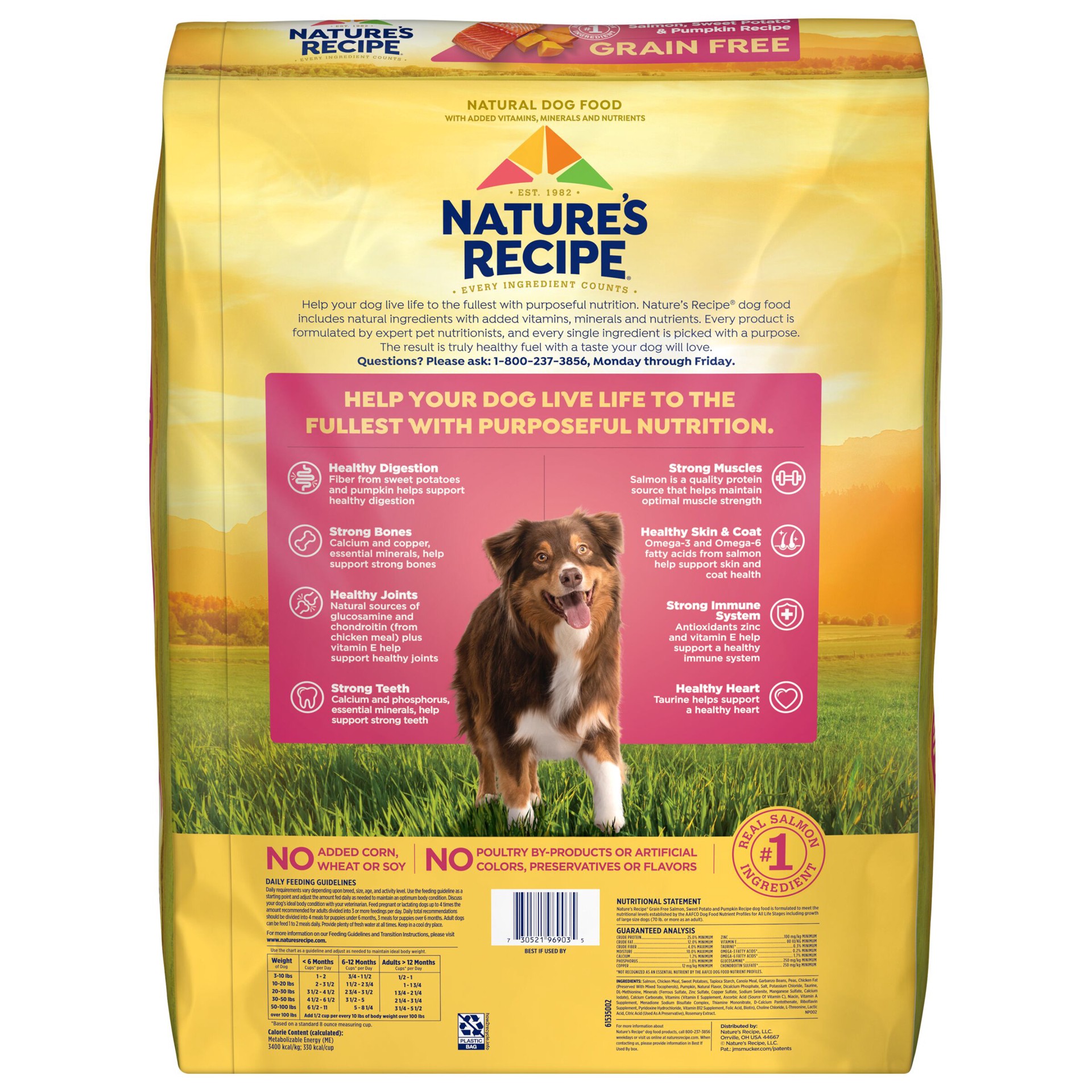 slide 2 of 10, Nature's Recipe All Life Stage Dry Dog Food - Salmon, Sweet Potato & Pumpkin, 34 lb