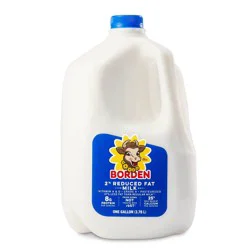 Borden Milk 1 gl