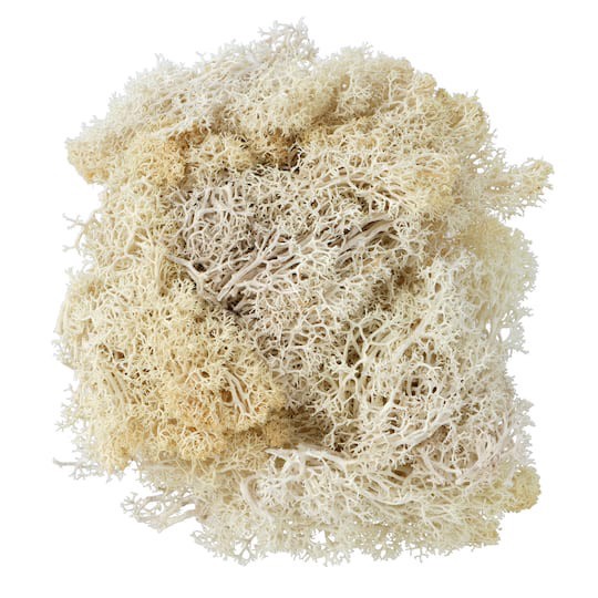 slide 1 of 2, 1.75oz. Moss By Ashland, 1.75 oz