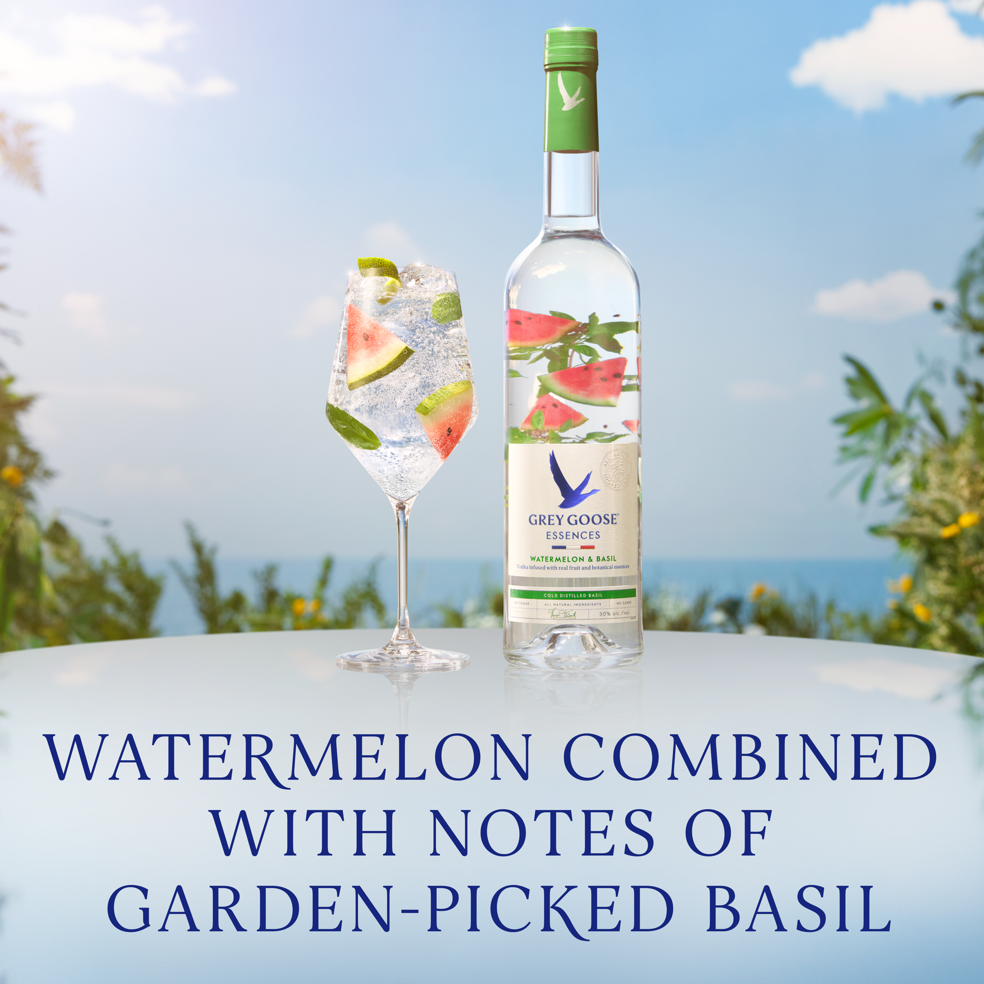 slide 3 of 5, Grey Goose Essences Watermelon & Basil Vodka With Natural Flavors 30% 5Cl/50Ml, 50 ml