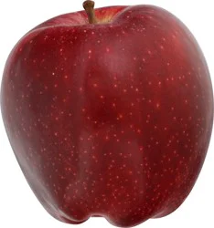 Organic Red Delicious Apple 1 ea