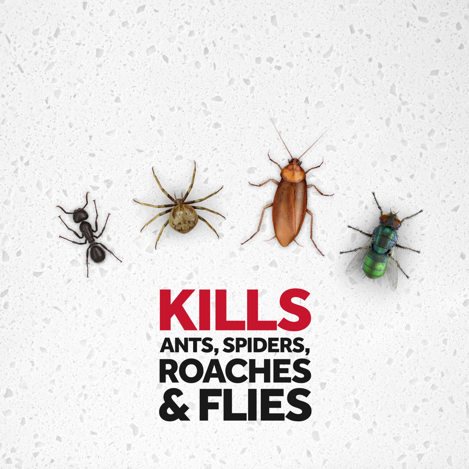 slide 4 of 7, Raid Multi Insect Killer, 15 oz