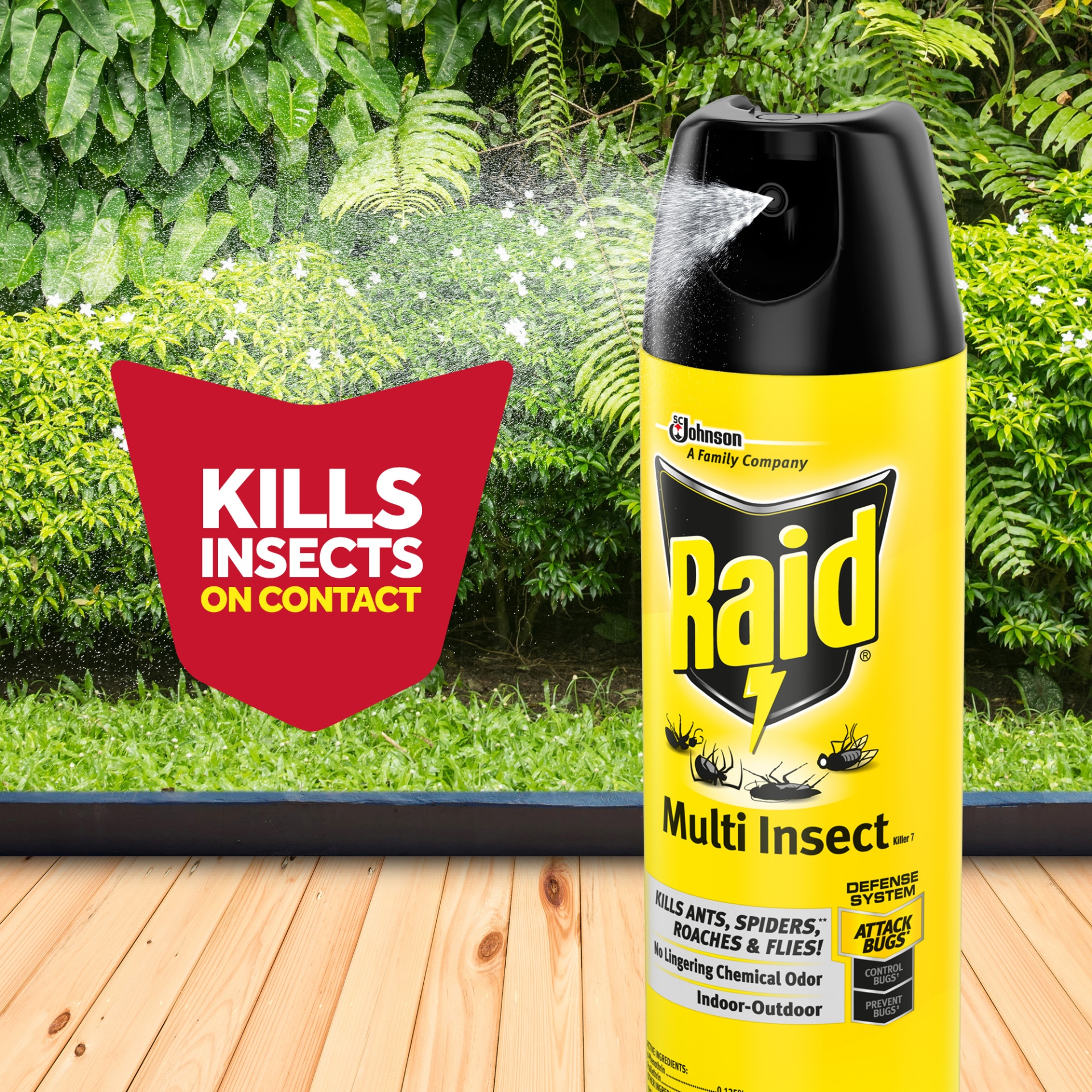 slide 5 of 7, Raid Multi Insect Killer, 15 oz