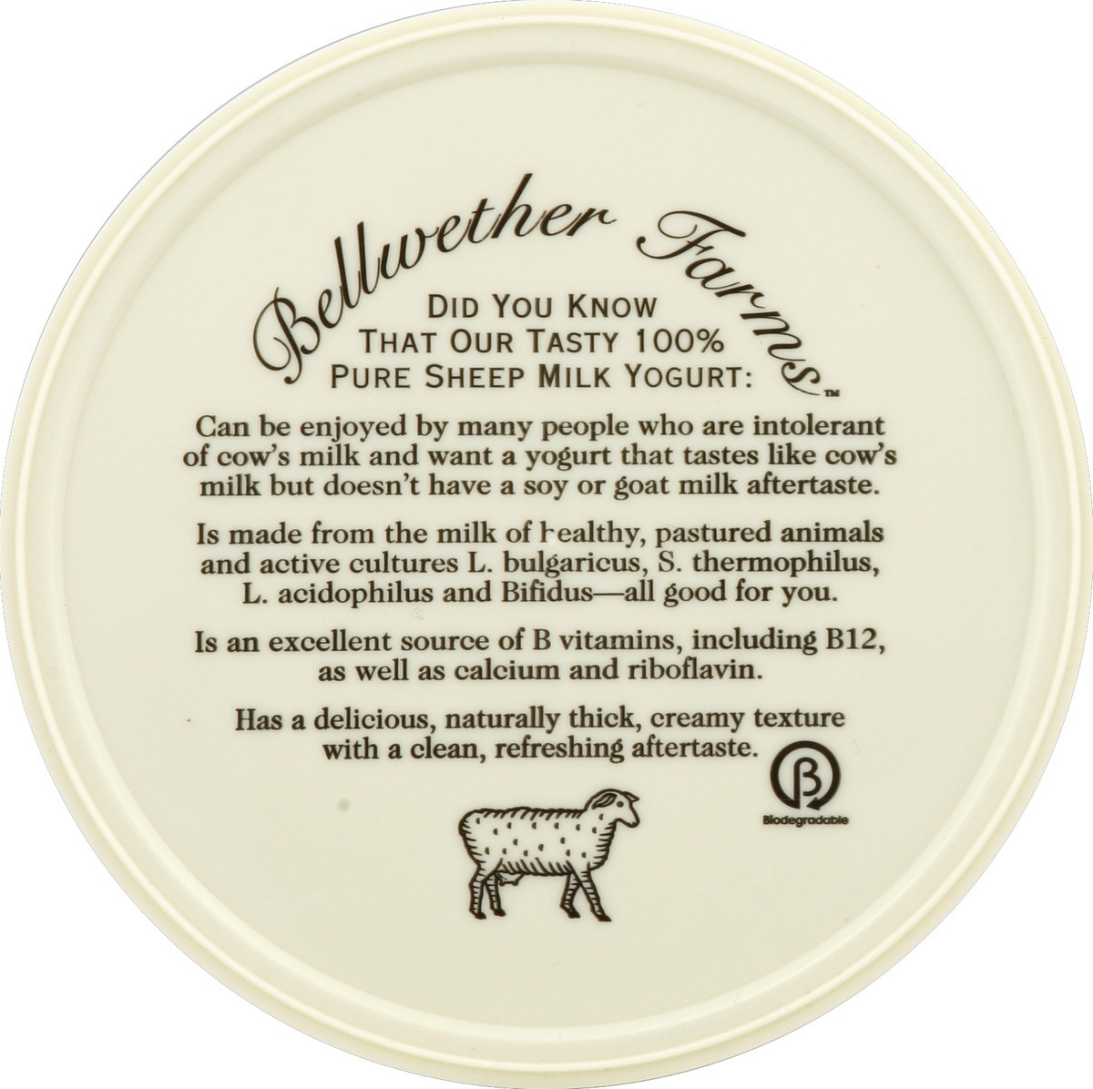 slide 2 of 3, Bellwether Farms Yogurt 16 oz, 16 oz