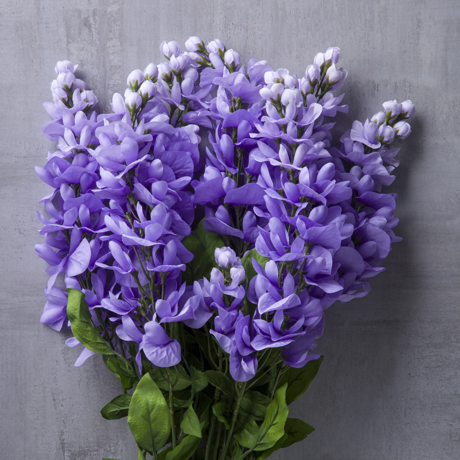 slide 6 of 7, Purple Wisteria Bush By Ashland, 17 in