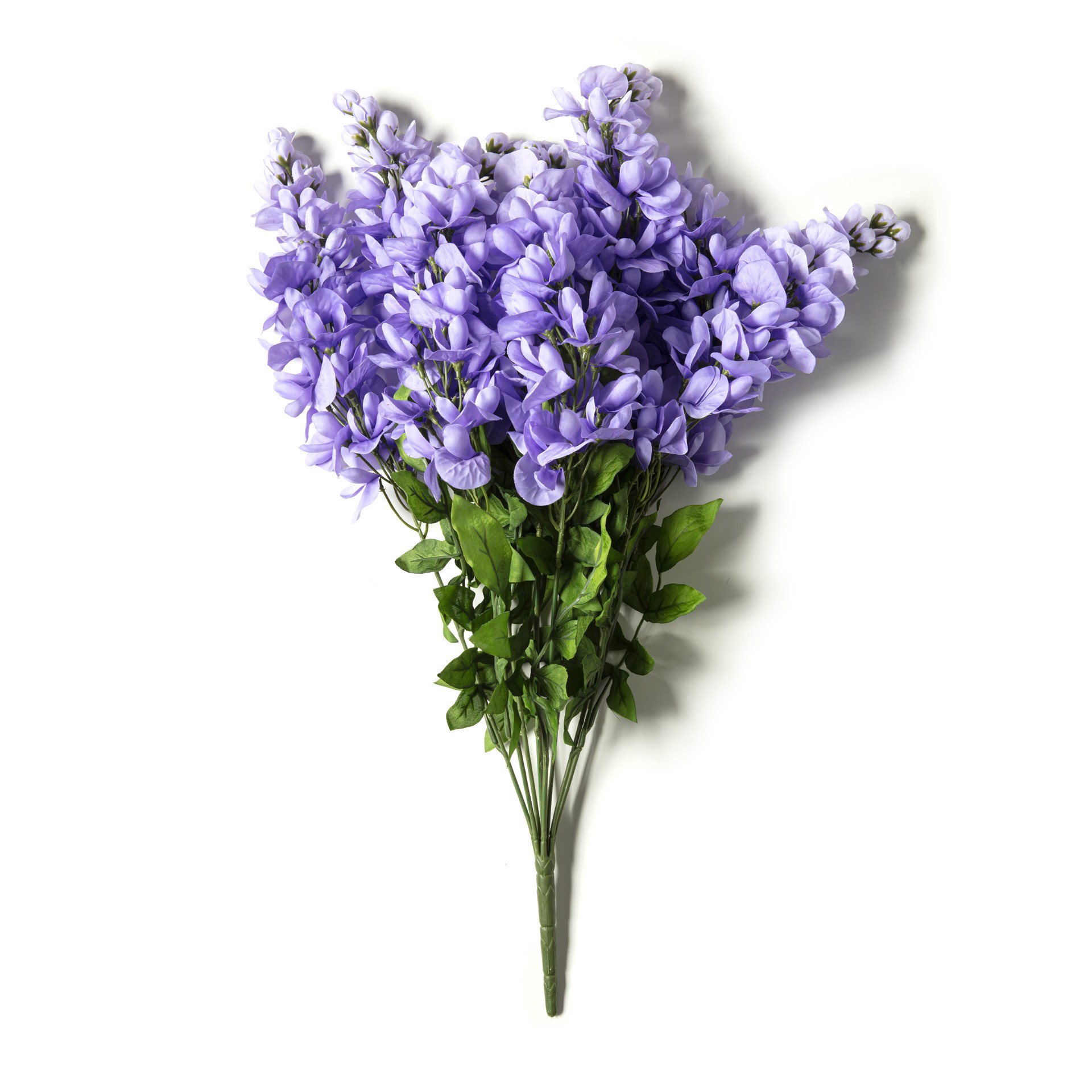 slide 3 of 7, Purple Wisteria Bush By Ashland, 17 in