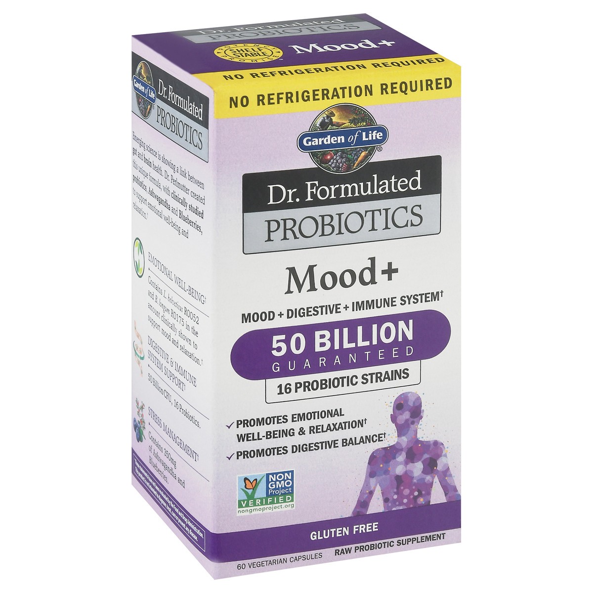 slide 2 of 9, Garden of Life Dr Formulated Probiotics Mood + Vegetarian Capsules 60 ea, 60 ct