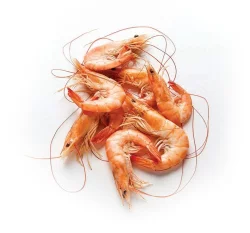 Black Tiger Cooked Shrimp, Peeled & Deveined Tail-On, Frozen - 8-12 ct 1 lb
