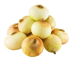 Onion Yellow Medium