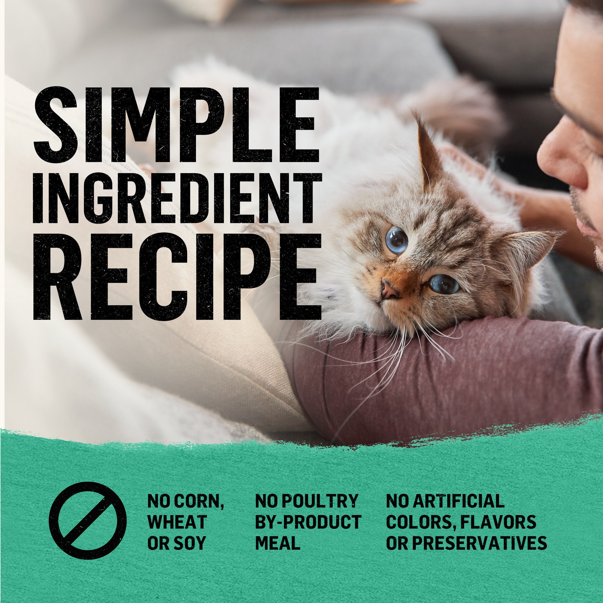 slide 7 of 9, Beyond Purina Beyond Natural Grain Free Dry Cat Food Whitefish and Egg Recipe With Added Vitamins, Minerals and Nutrients, 11 lb