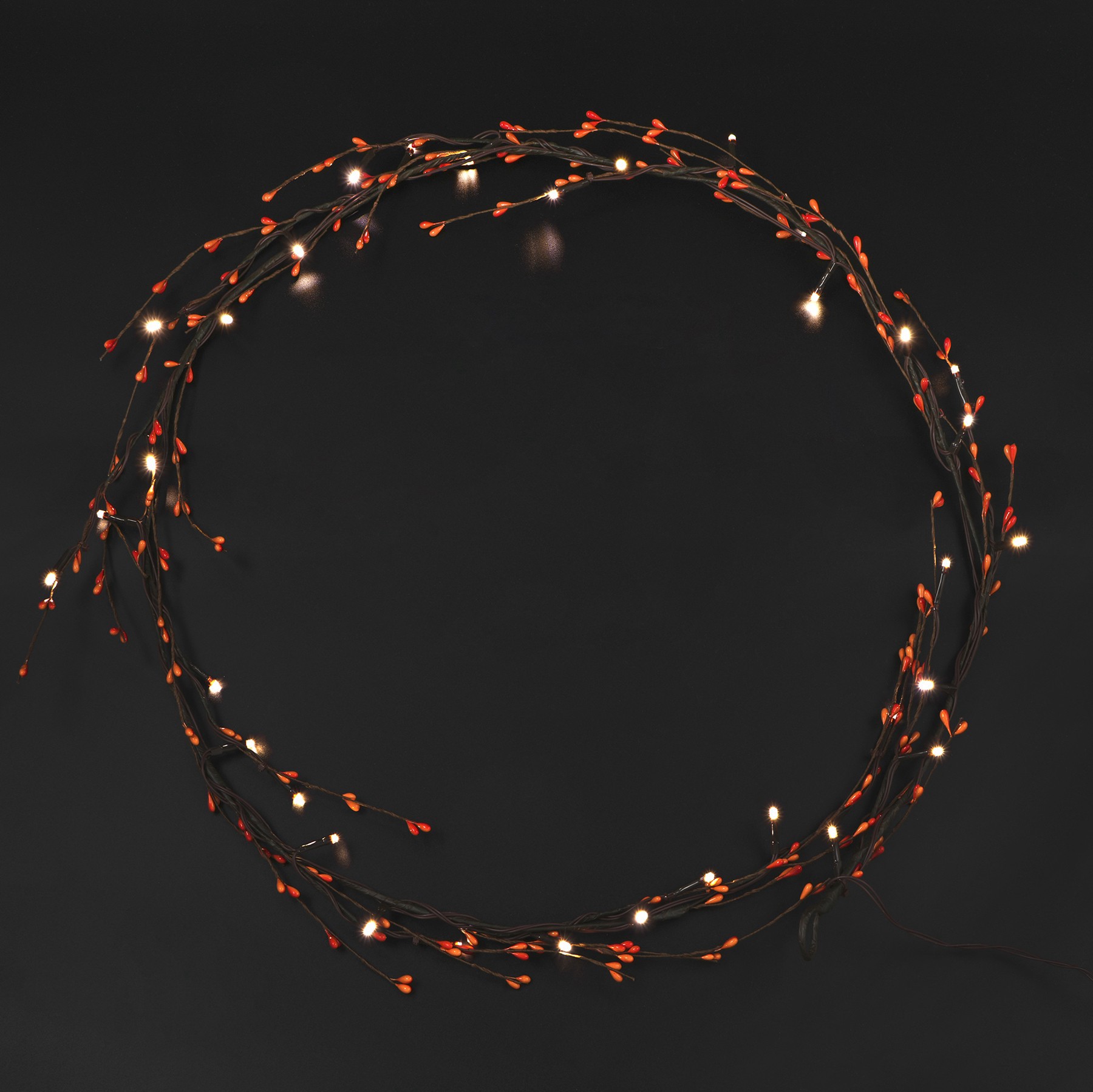 slide 2 of 2, 33ct. Warm White Led Leaf Bud Garland String Lights By Ashland, 33 ct