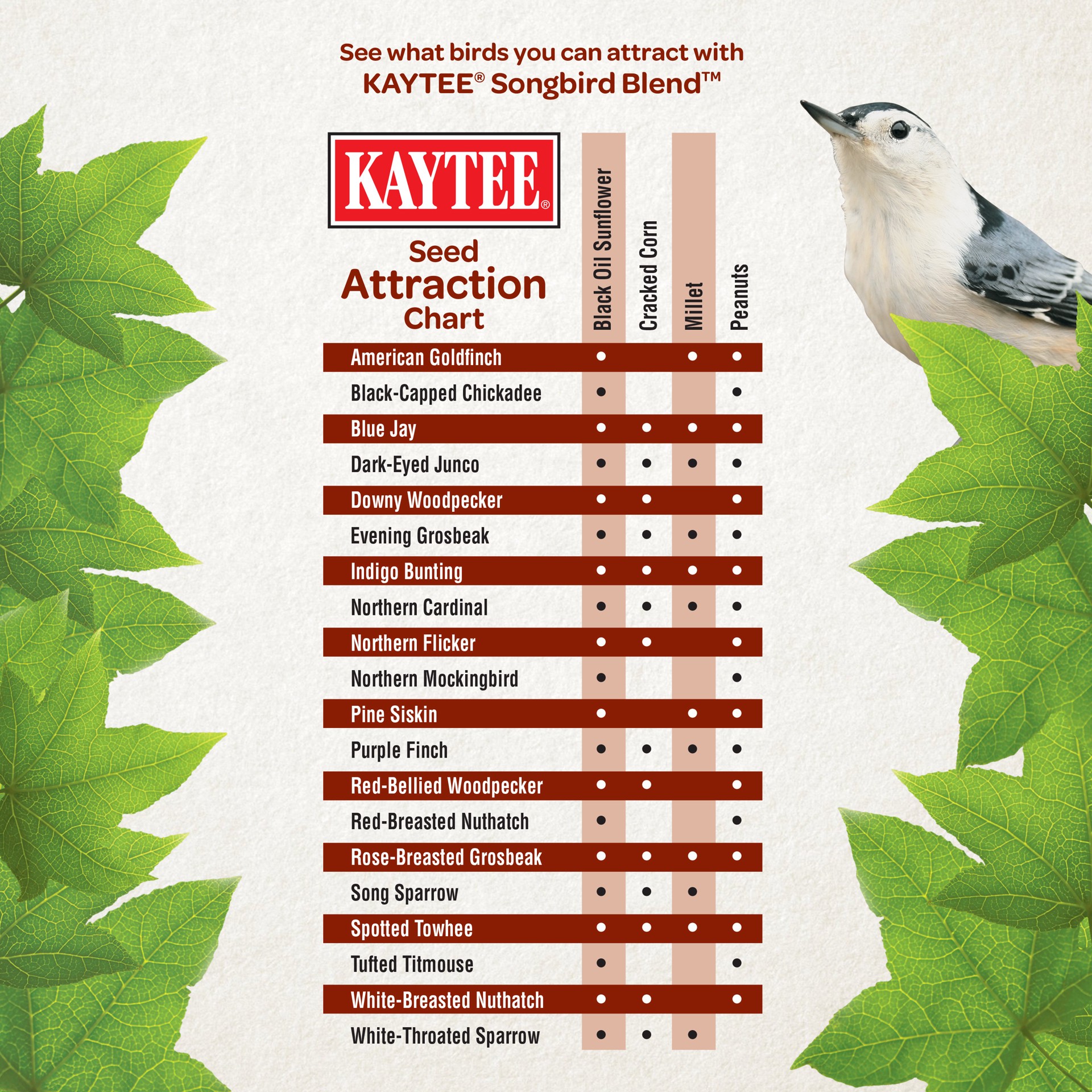 slide 5 of 5, Kaytee Songbird Blend Food Bag 35 Pounds, 1 ct