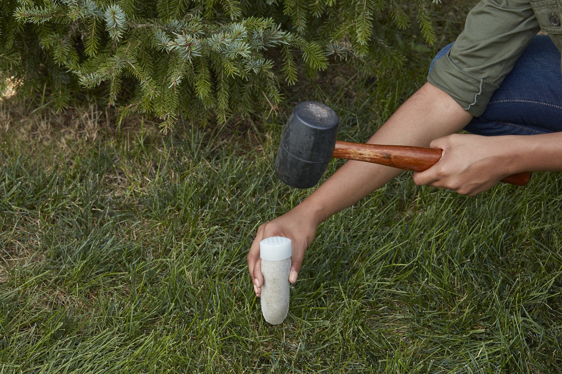 slide 3 of 3, Miracle-Gro Everygreen Plant Food Spikes, 12 ct