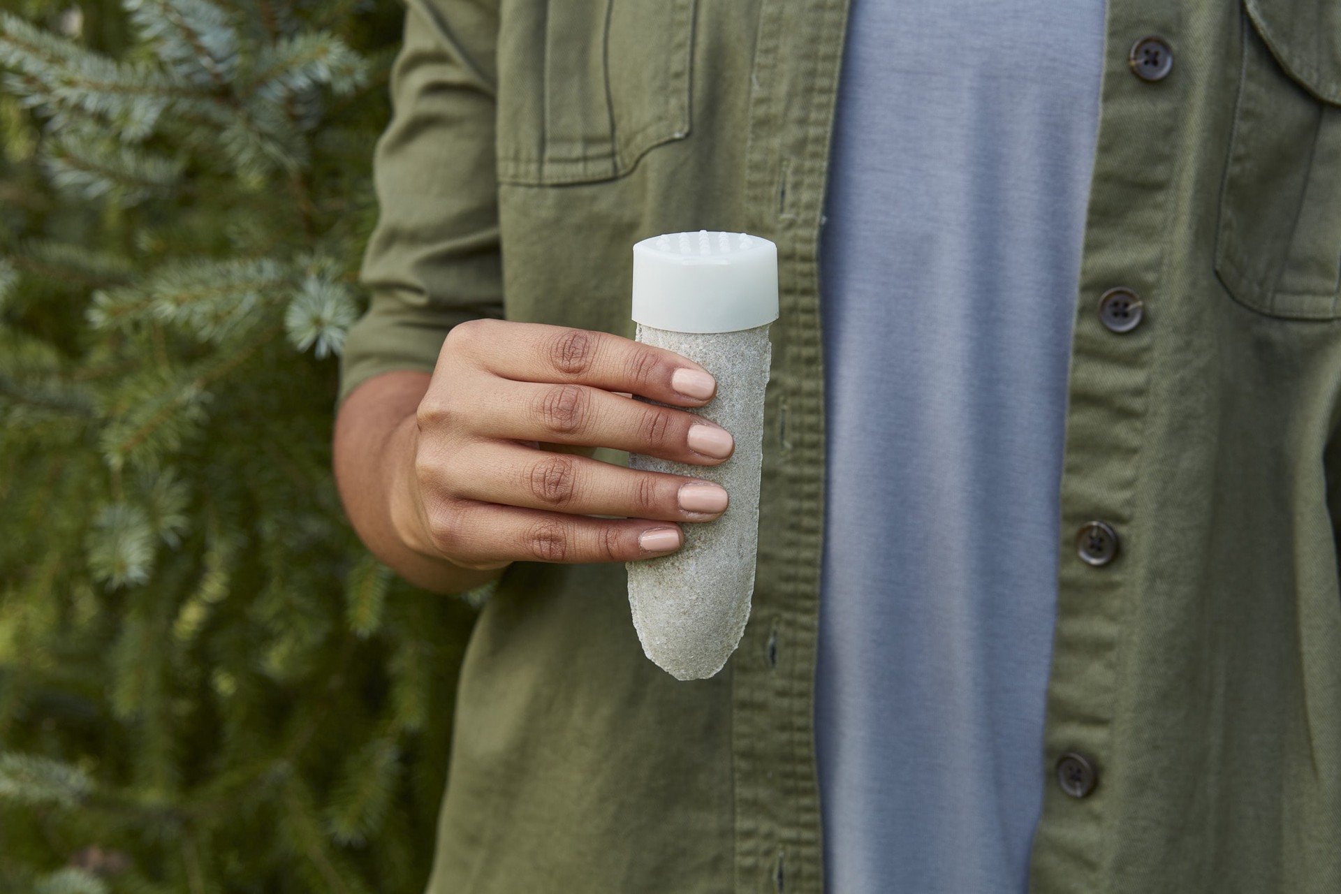 slide 2 of 3, Miracle-Gro Everygreen Plant Food Spikes, 12 ct