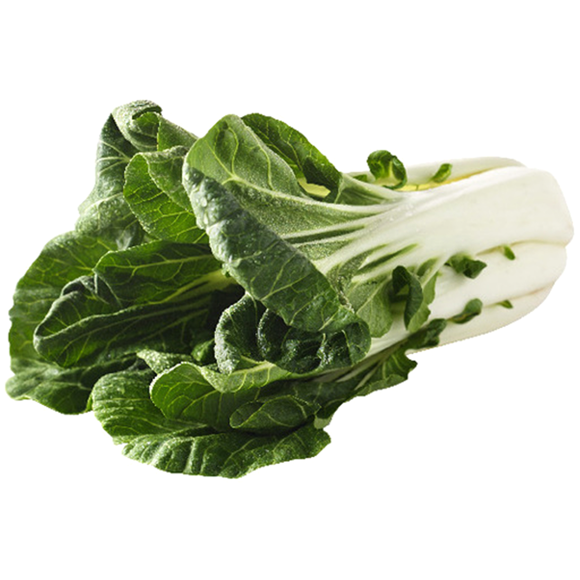 slide 1 of 1, Bok Choy, 1 ct