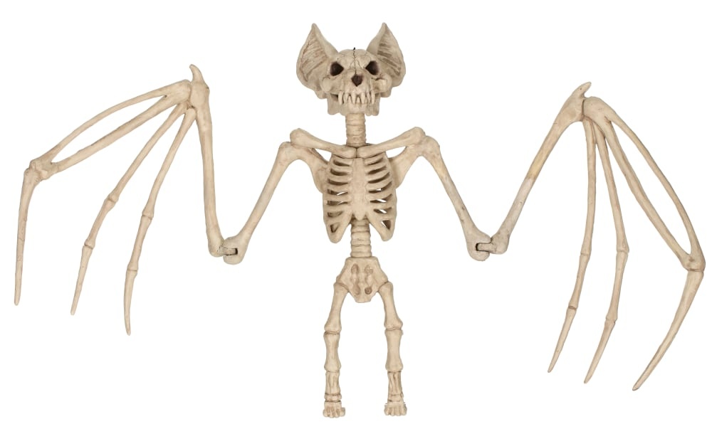 slide 1 of 1, Holiday Home Bat Skeleton - Cream, 23 in