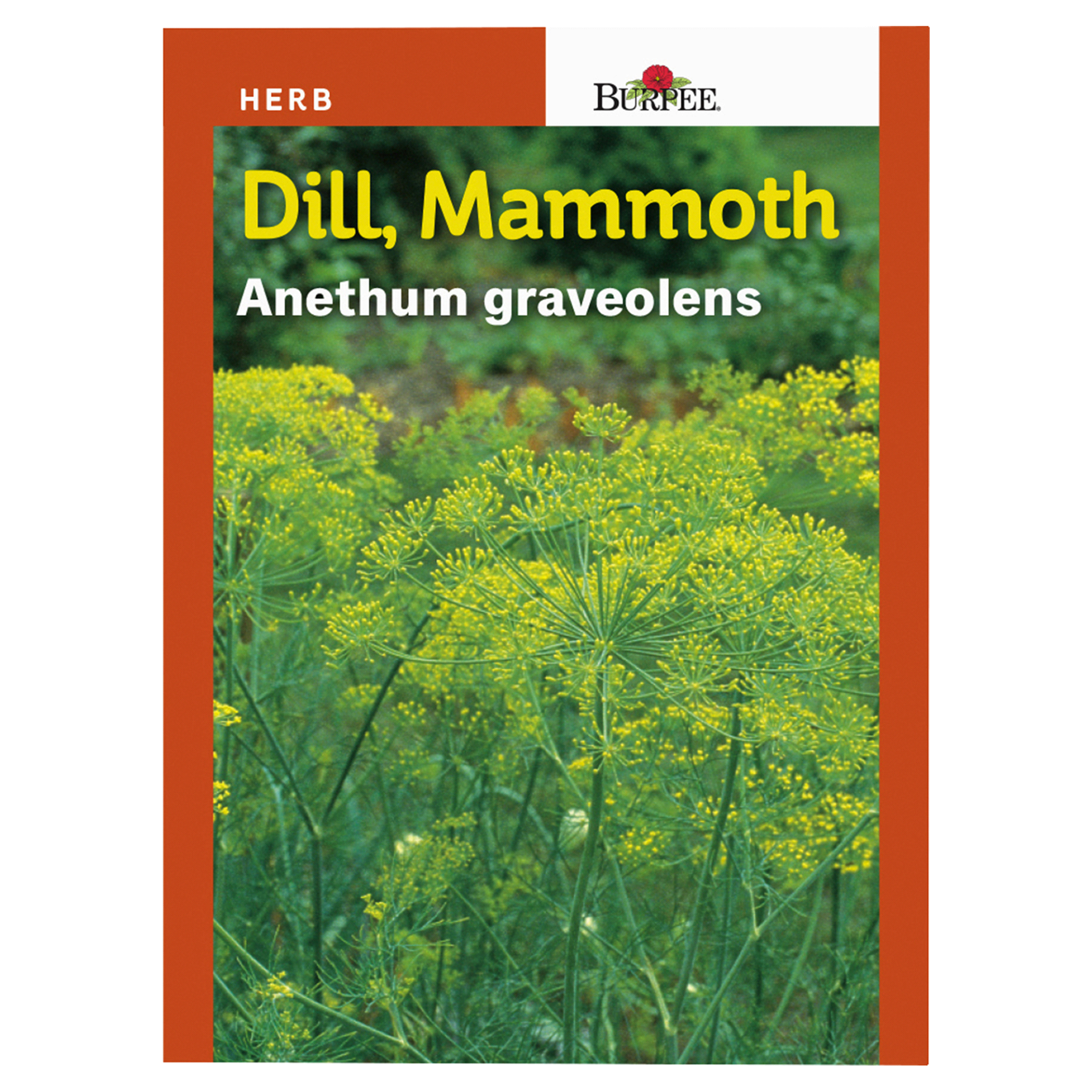 slide 1 of 1, Burpee Dill Mammoth Seeds, 1 ct