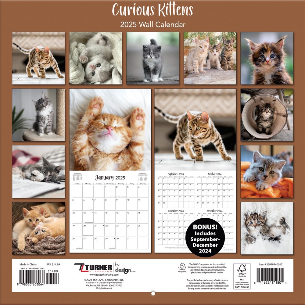 slide 2 of 2, 2025 Curious Kittens Wall Calendar, 1 ct