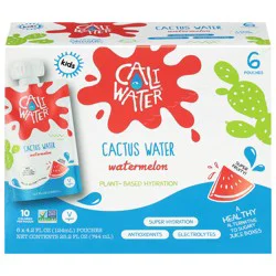 Caliwater Watermelon Cactus Water, 6 x 4.2 fl oz
