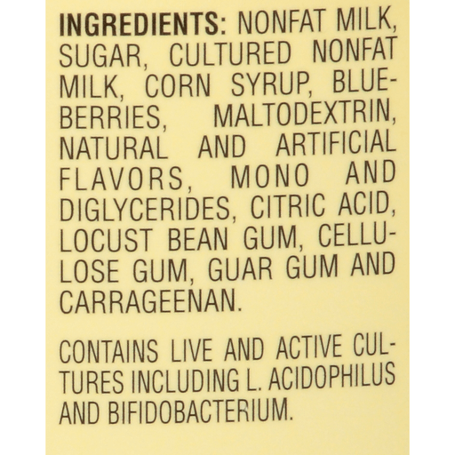 slide 3 of 6, Hood Fat Free Maine Blueberries & Sweet Cream Frozen Yogurt Carton, 48 oz