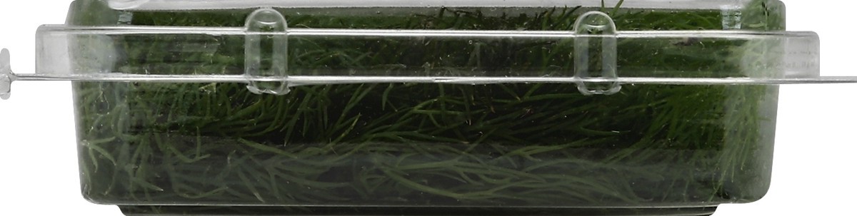 slide 3 of 6, Full Circle Baby Dill, 0.67 oz