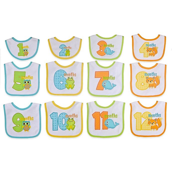 slide 1 of 2, Neat Solutions Monthly Milestone Bib Set - Neutral, 12 ct