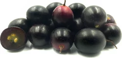 Black Muscadine Grapes