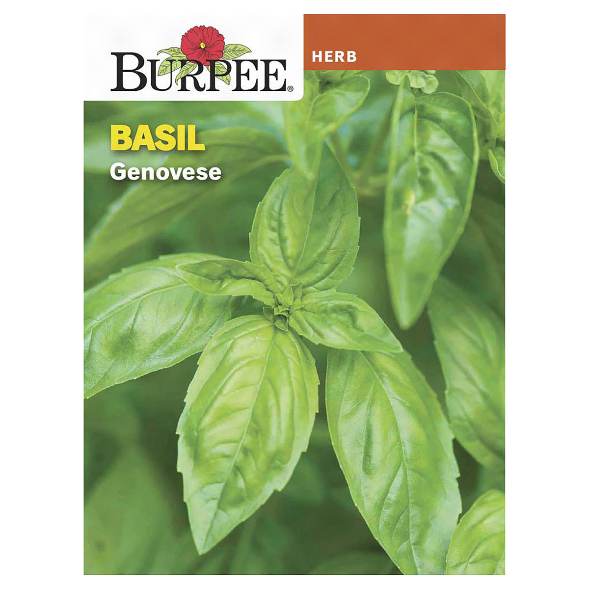 slide 1 of 5, Burpee Genovese Basil Seeds - Green, 1 ct