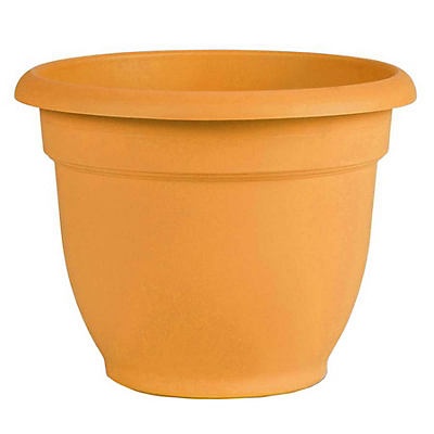 slide 1 of 1, Bloem Ariana Earthy Yellow Planter, 12 in