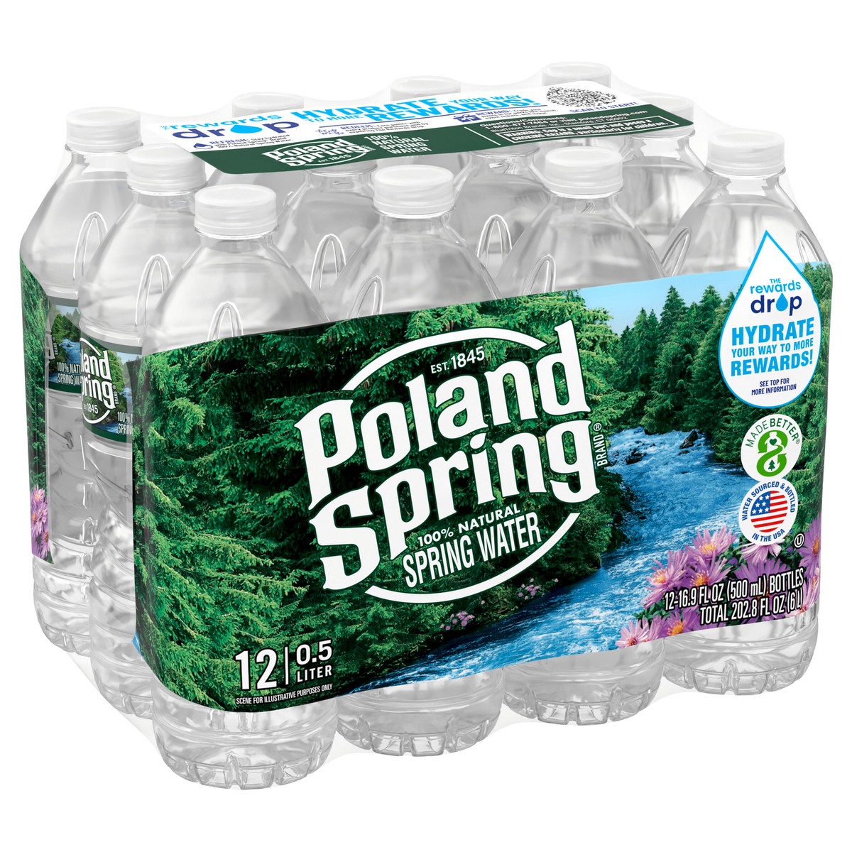 slide 2 of 8, POLAND SPRING Brand 100% Natural Spring Water, 16.9-ounce plastic bottles (Pack of 12), 16.9 fl oz