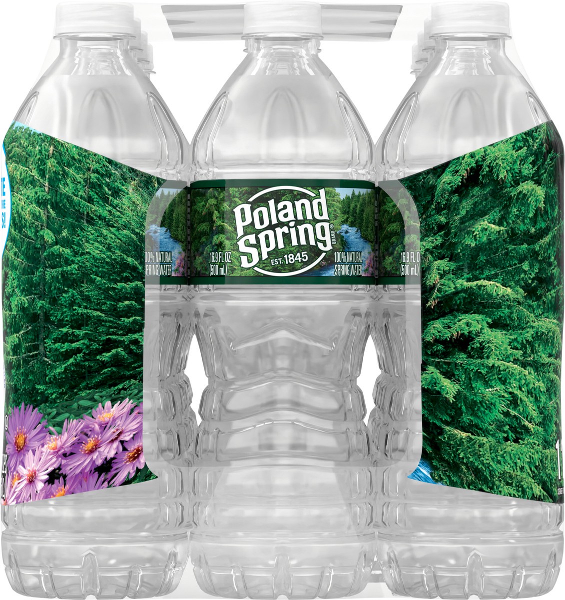 slide 6 of 8, POLAND SPRING Brand 100% Natural Spring Water, 16.9-ounce plastic bottles (Pack of 12), 16.9 fl oz