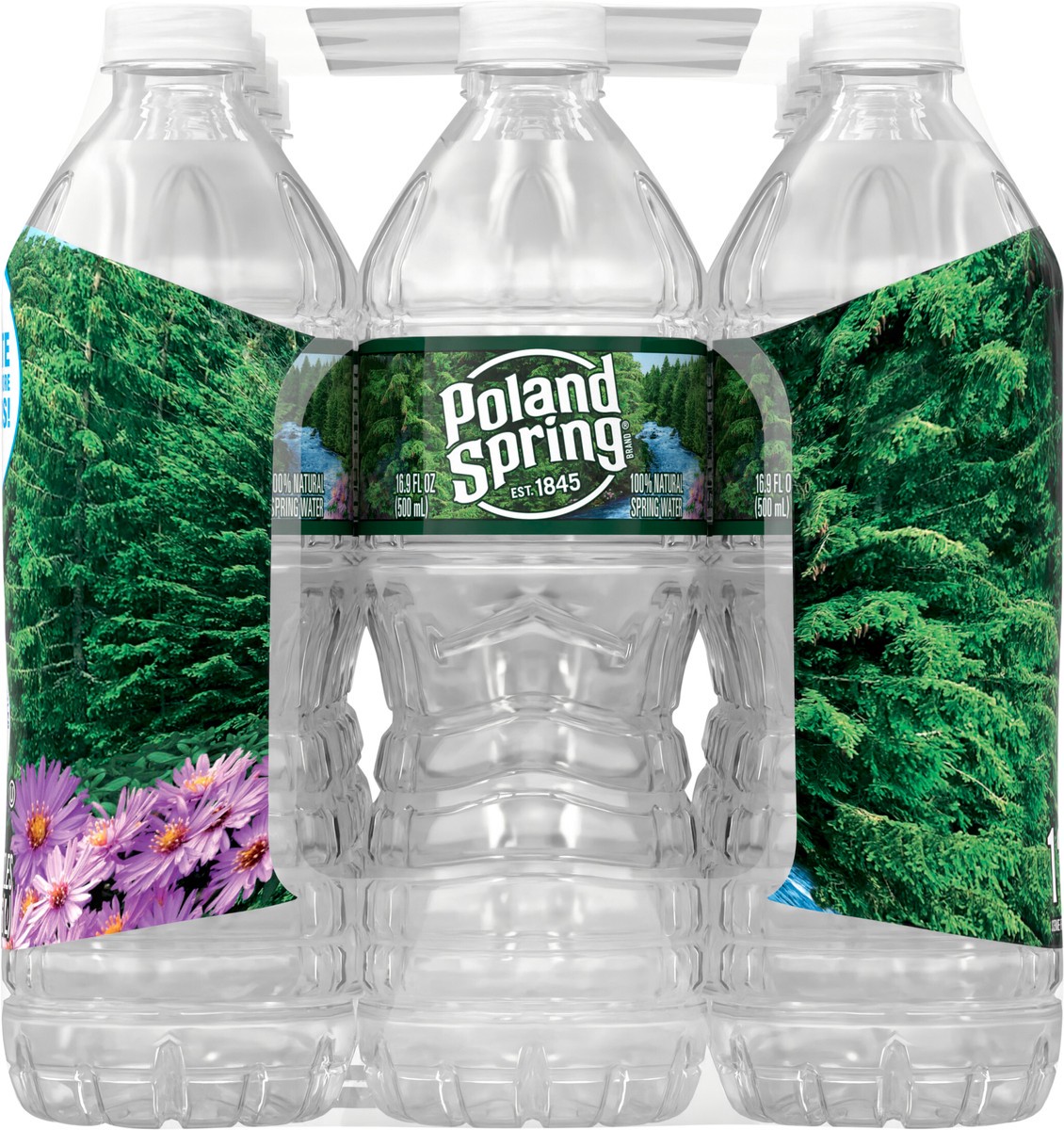 slide 8 of 8, POLAND SPRING Brand 100% Natural Spring Water, 16.9-ounce plastic bottles (Pack of 12), 16.9 fl oz