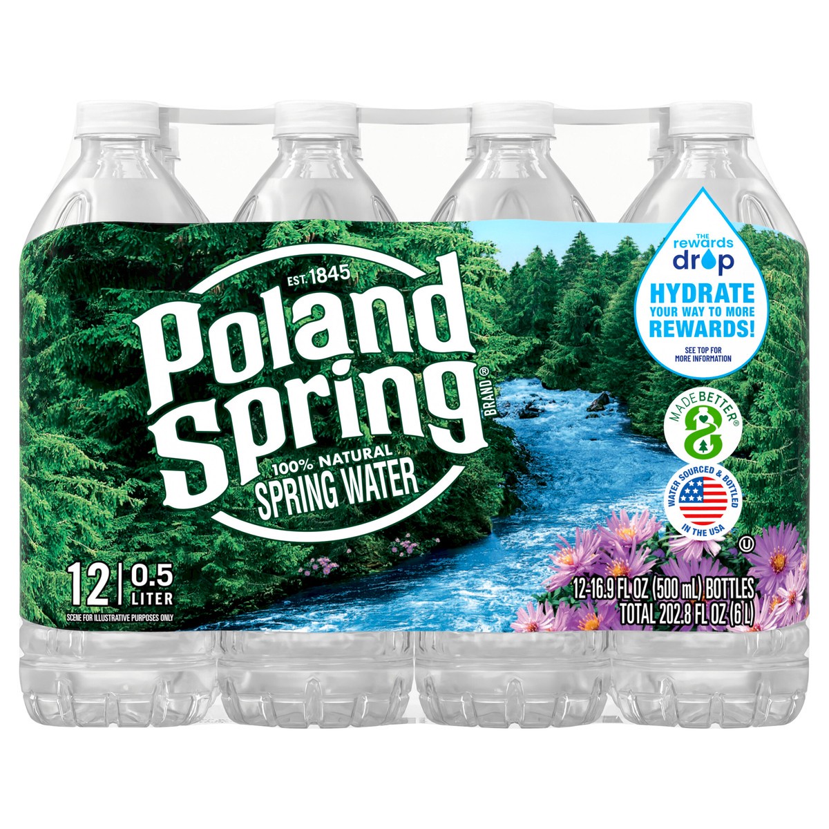 slide 1 of 8, POLAND SPRING Brand 100% Natural Spring Water, 16.9-ounce plastic bottles (Pack of 12), 16.9 fl oz