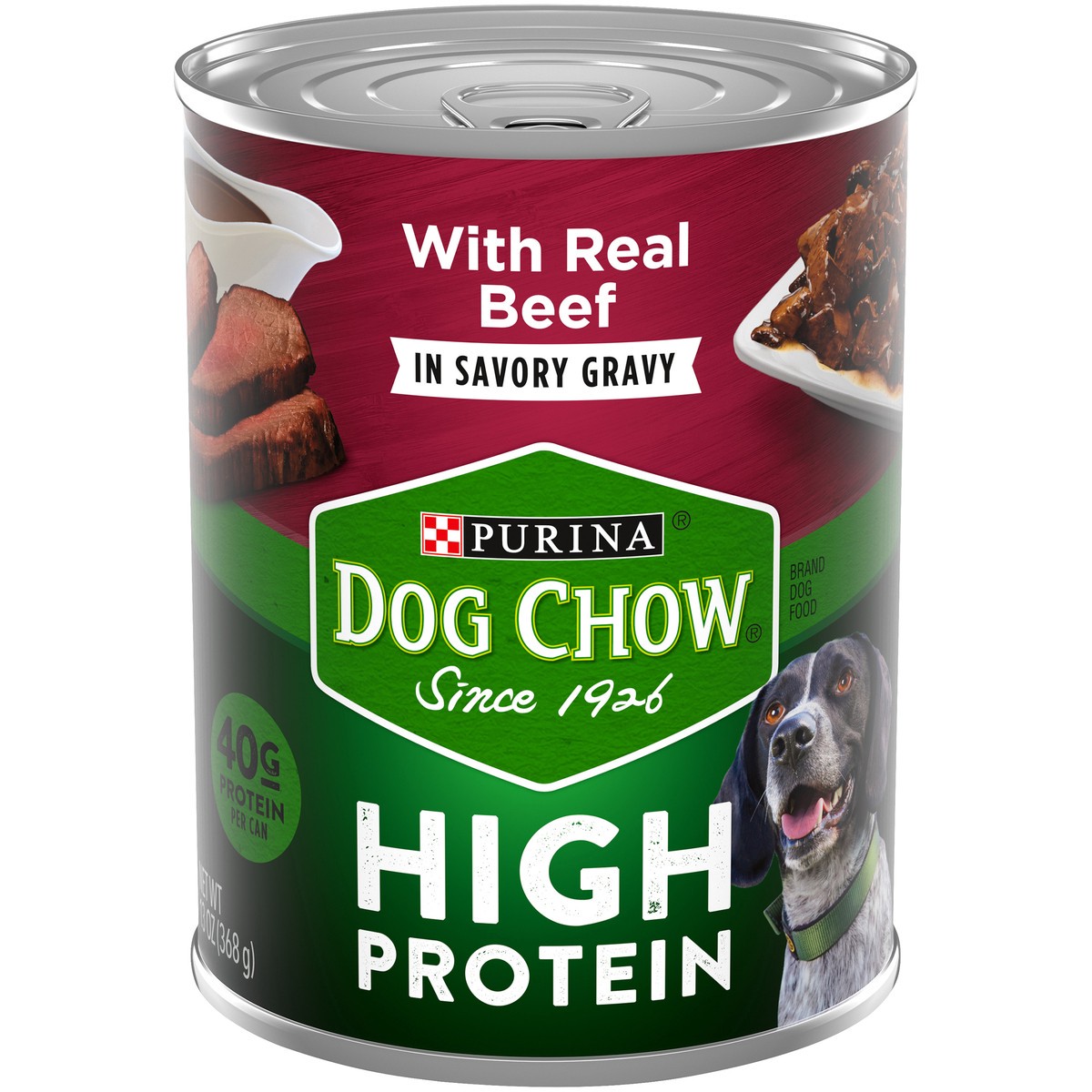 slide 1 of 14, Dog Chow Purina Dog Chow High Protein Gravy Wet Dog Food, High Protein With Real Beef, 13 oz