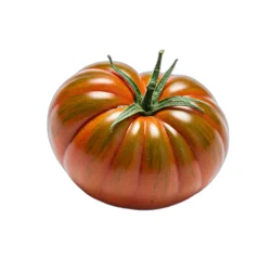Vintage Ripe Tomato