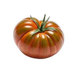 Vintage Ripe Tomato