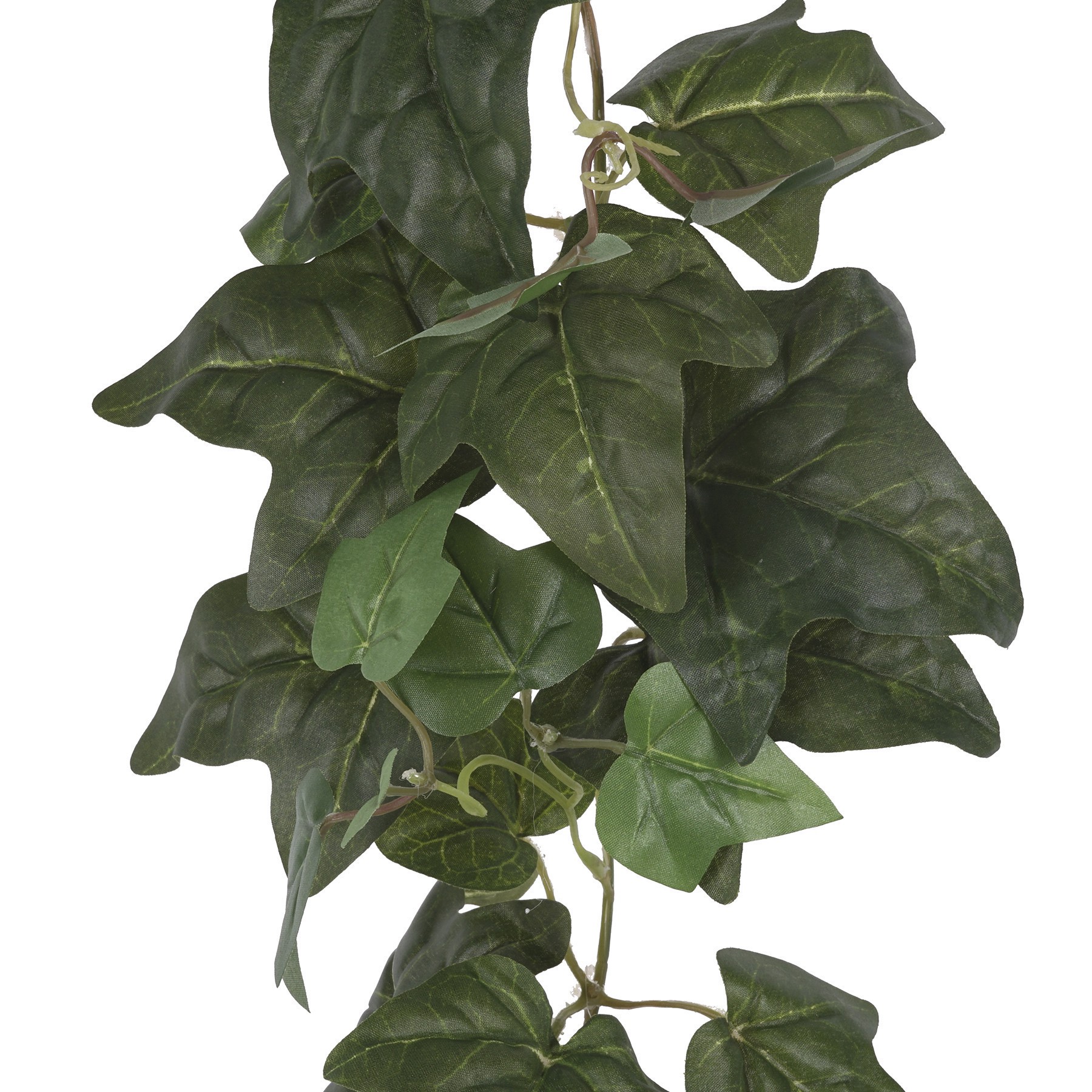 slide 5 of 5, 6ft. Green English Ivy Garland By Ashland, 6 ft