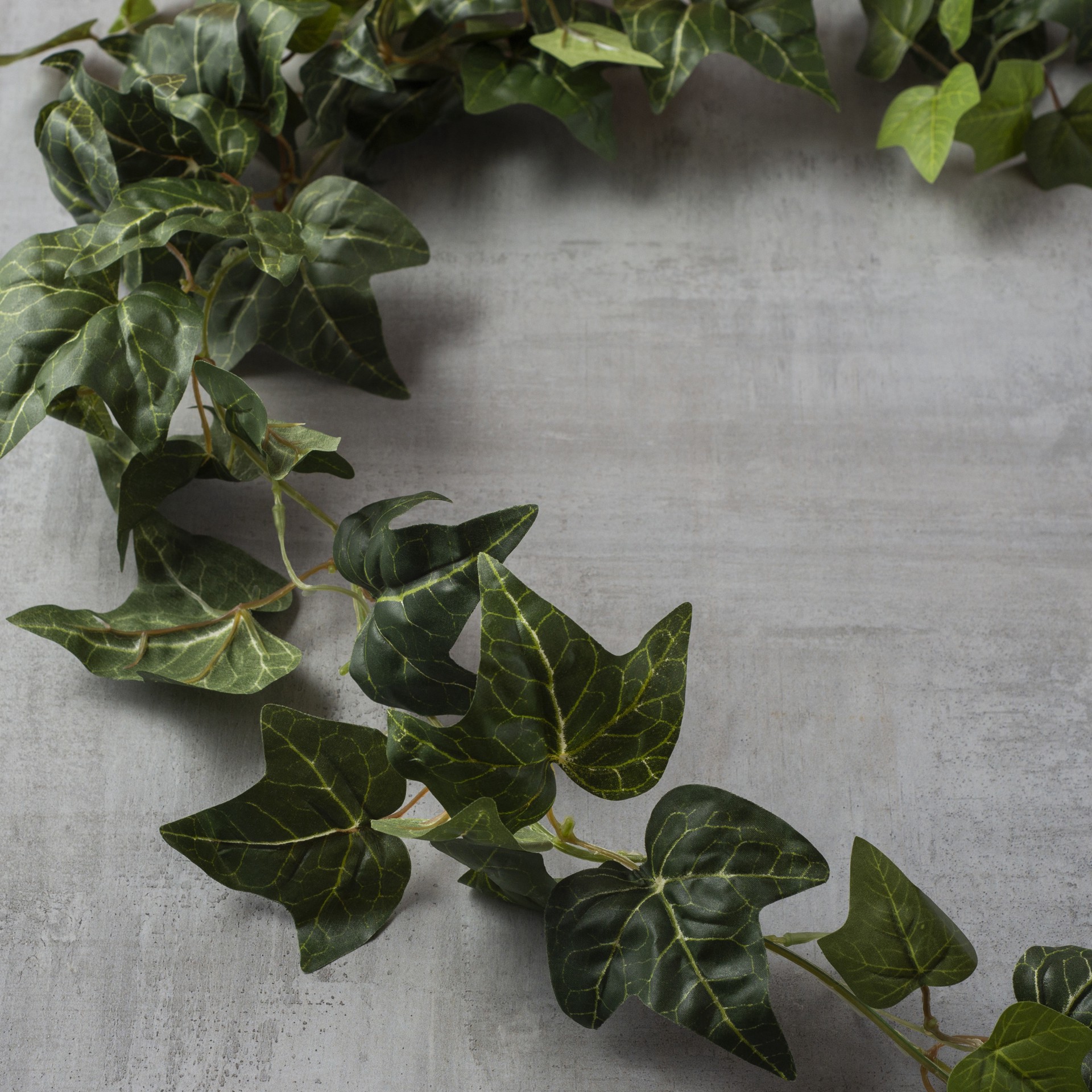 slide 3 of 5, 6ft. Green English Ivy Garland By Ashland, 6 ft