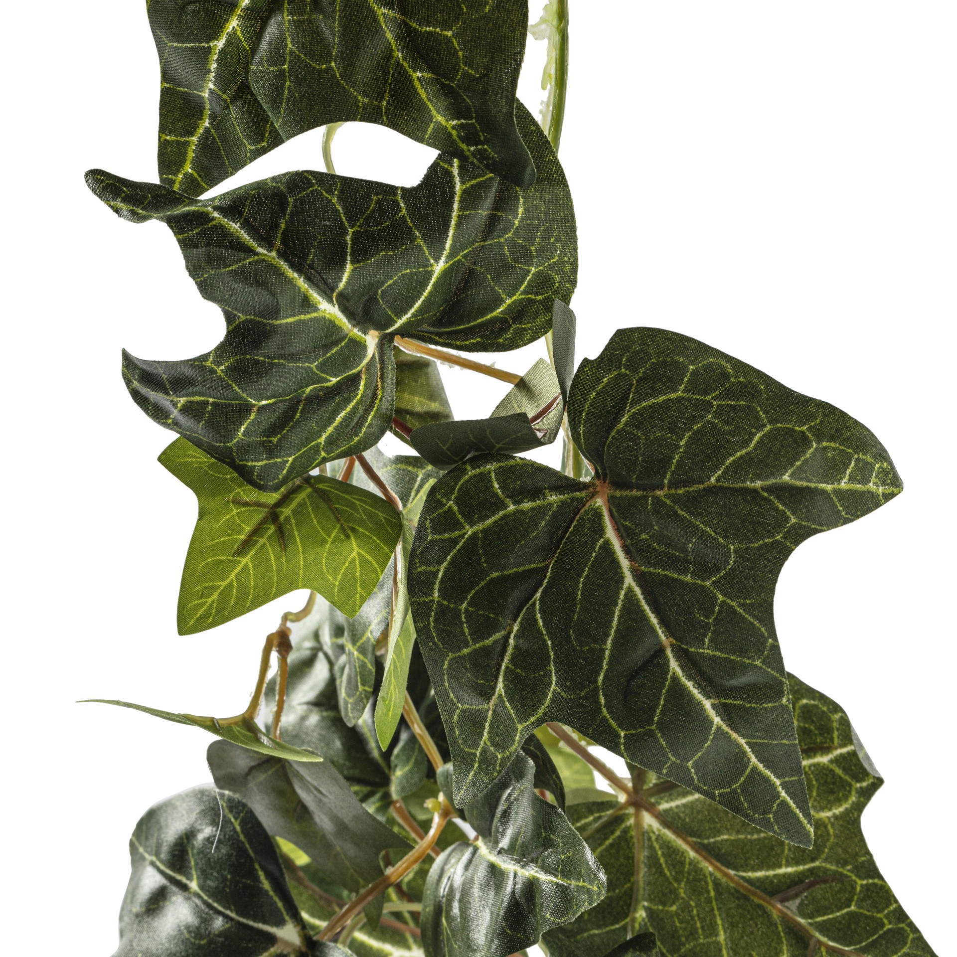 slide 4 of 5, 6ft. Green English Ivy Garland By Ashland, 6 ft