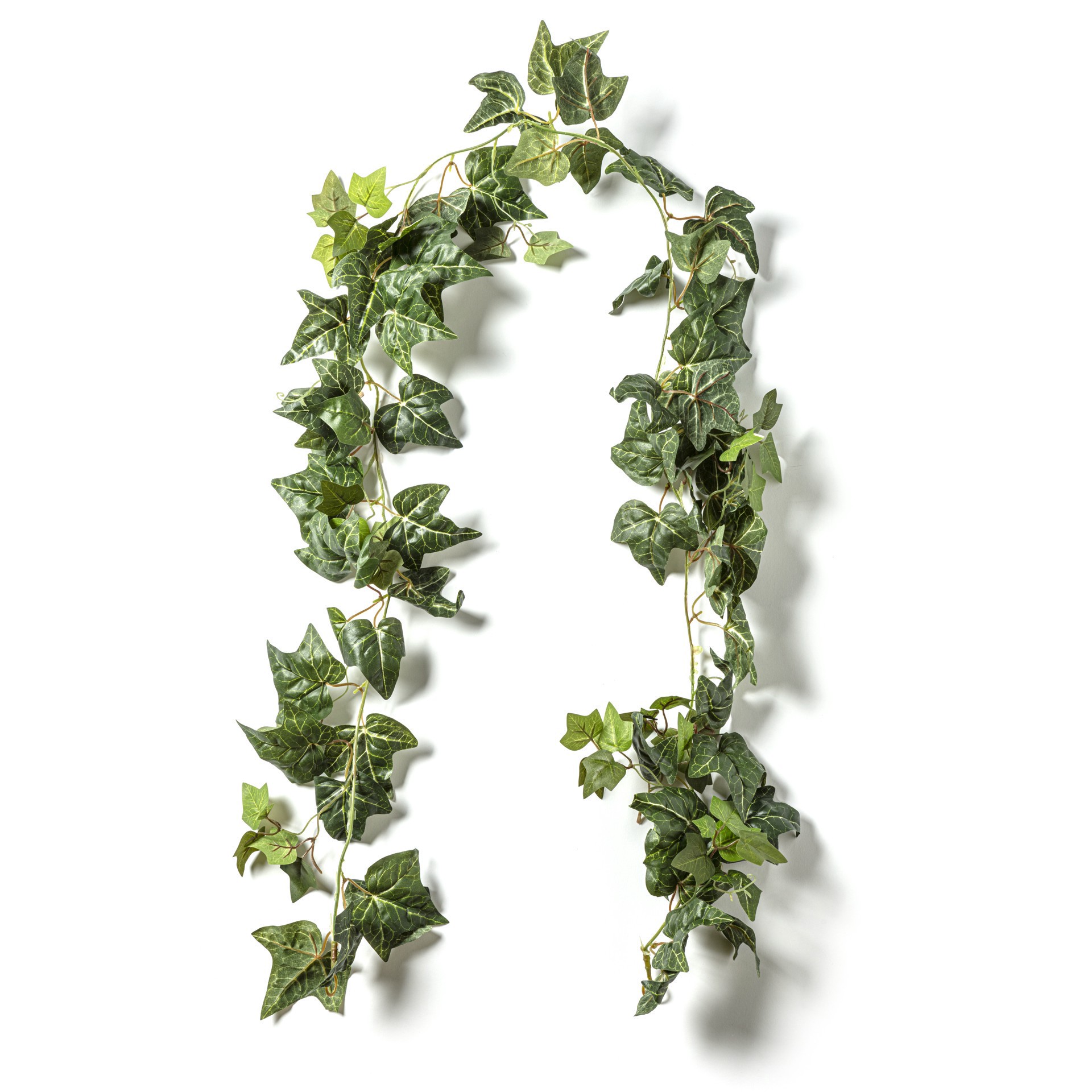 slide 2 of 5, 6ft. Green English Ivy Garland By Ashland, 6 ft